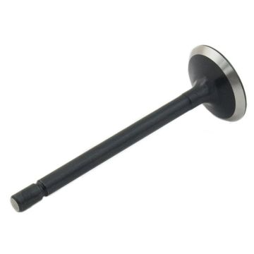 Exhaust Valve for Shibaura 120176400