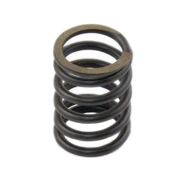Valve Spring for Shibaura 198216700