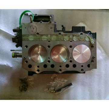 Shibaura E643 Short Block, New Surplus