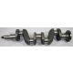 David Brown AD 4/49 New Crankshaft, D917985