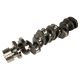 Caterpillar C15 ACERT New Crankshaft, 221-9360