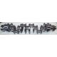 Cummins 6C, 6CT, 6CTA 8.3L New Crankshaft, 3917320