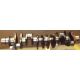 Detroit Diesel 12.7L, 60 Series New Crankshaft, 8929239