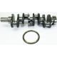 International D206 New Crankshaft, 3055787R92