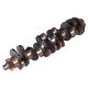 John Deere PowerTech 6081 Series 8.1L New Crankshaft, RE534314