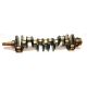 Komatsu 6D105 S6D105 New Crankshaft, 6136-31-1110