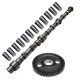 International DT414, DT436, DT466 New Cam, Lifter, & Gear Set | Replaces 1802337C1, 1802340C1